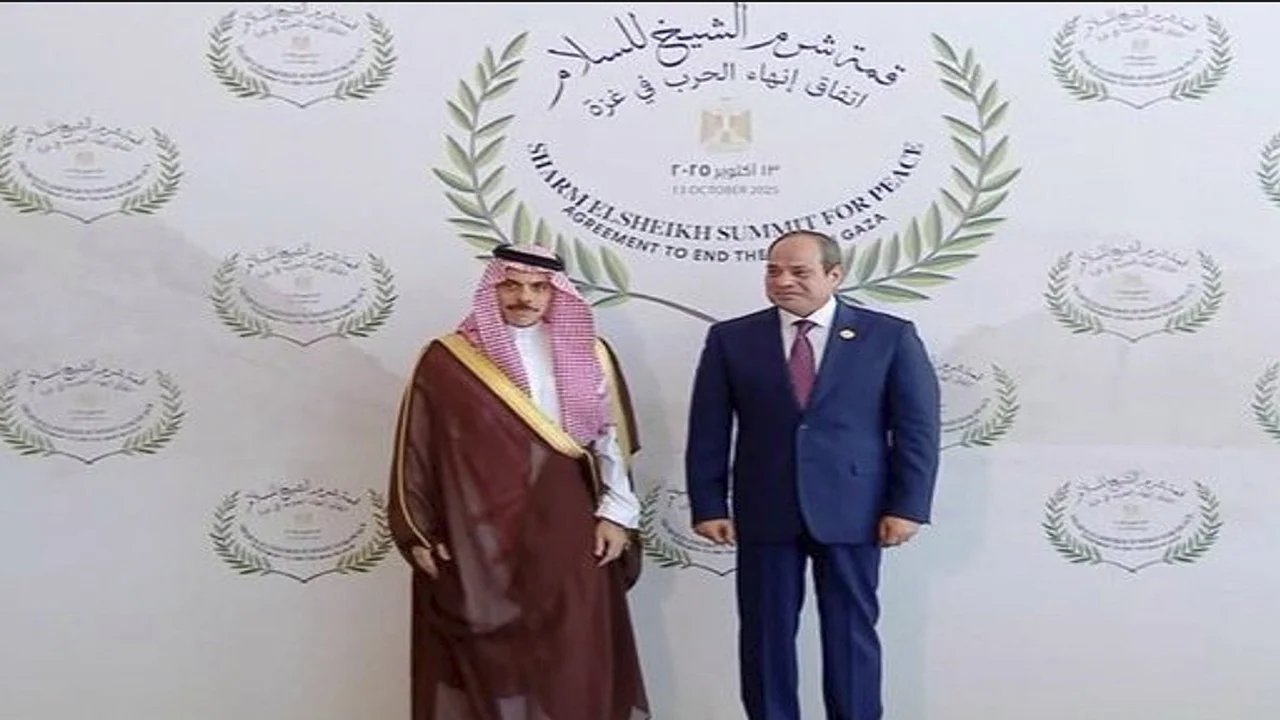 الرئيس السيسي يبحث مع مسؤول رفيع ترتيبات قمة شرم الشيخ المرتقبة